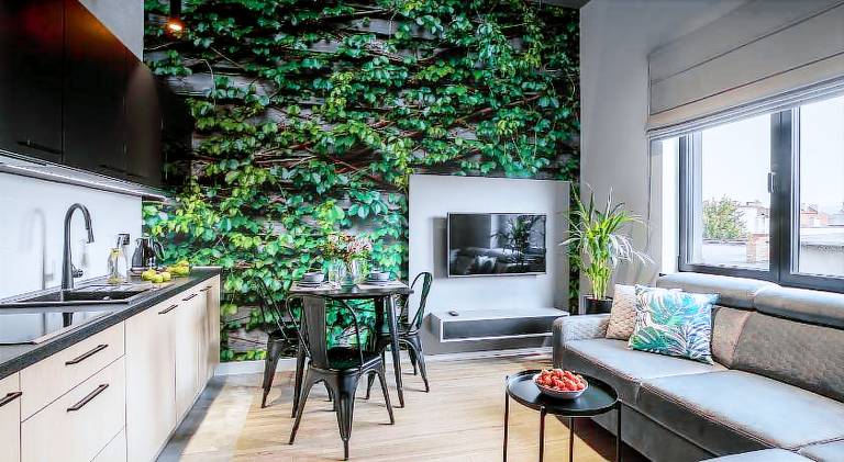 Holiday apartment | Pets are welcome in Jelenia Gora