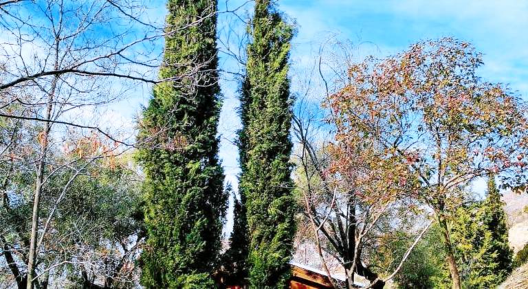 Alixares de Guejar Sierra - Bungalows in Guejar Sierra