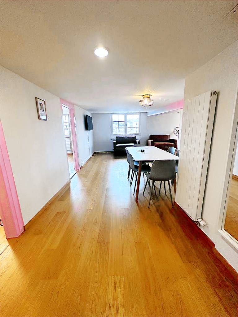 ZH Hesse 4 - Limmatquai HITrental Apartment — photo 3