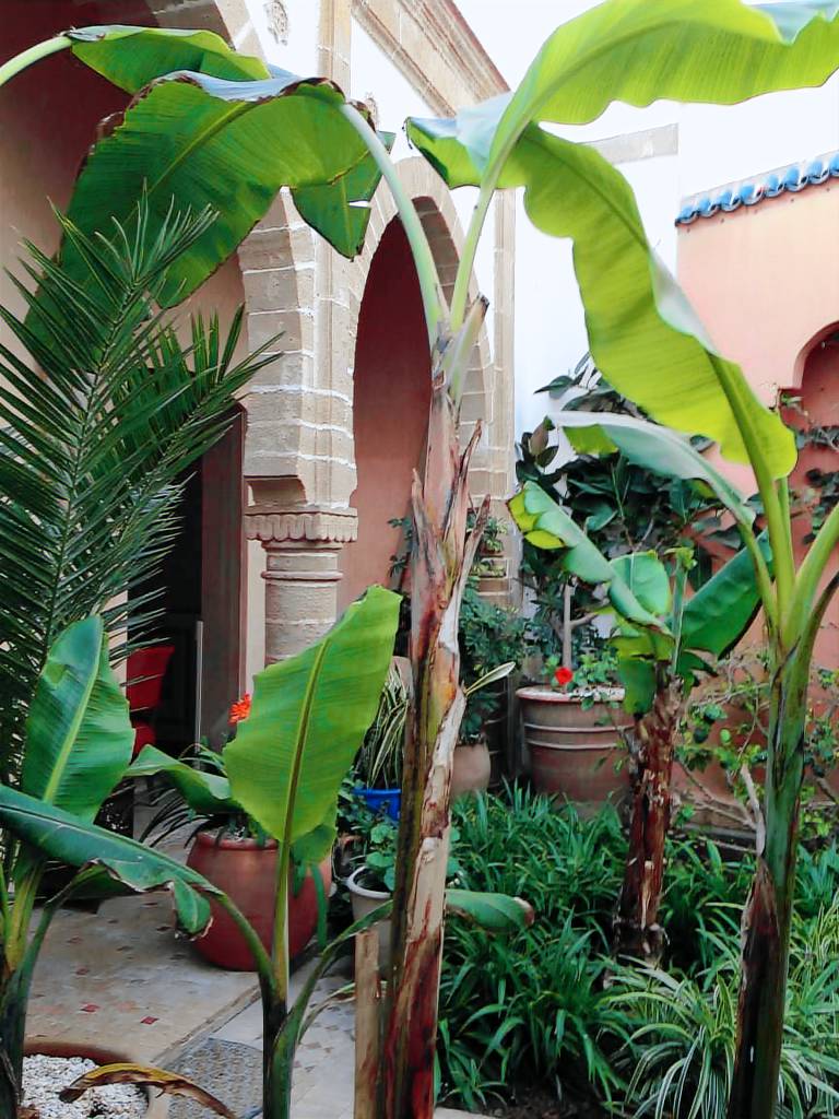 Huis  Essaouira