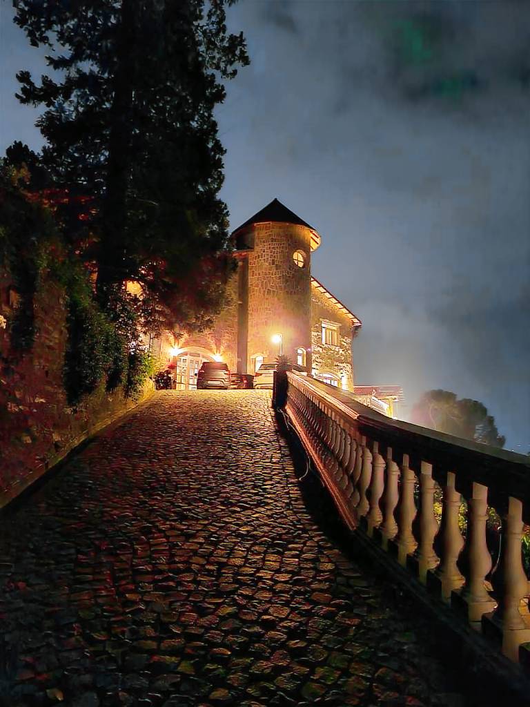 THE MAGNOLIA LODGE in Almora