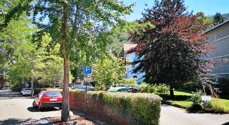 Rental apartment with garden | Pets are welcome — photo 4