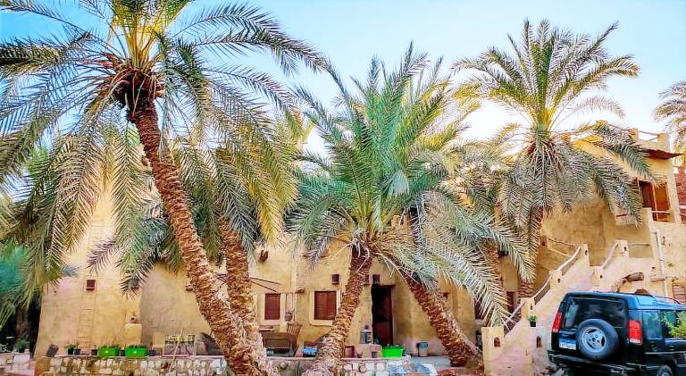 Rental apartment with barbecue, yard & pool in Siwa
