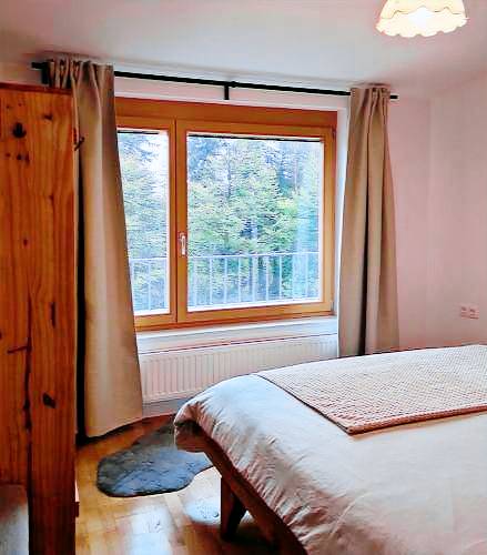 Apartma Hočko Pohorje