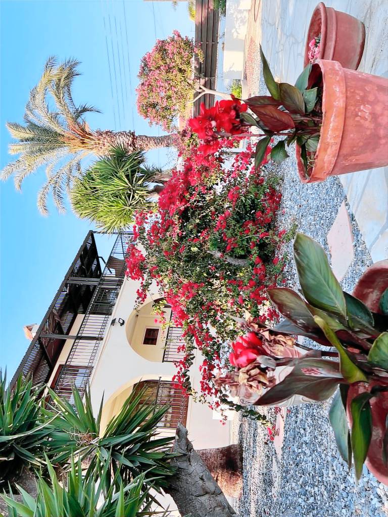 Family-friendly charming villa with private pool & patio | Garden view | Pet-friendly — photo 2