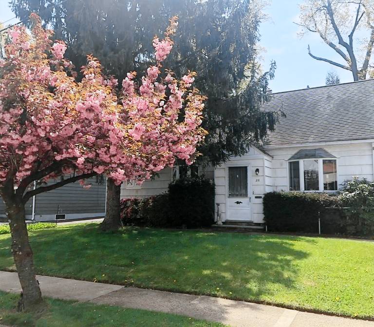 House  Bloomfield