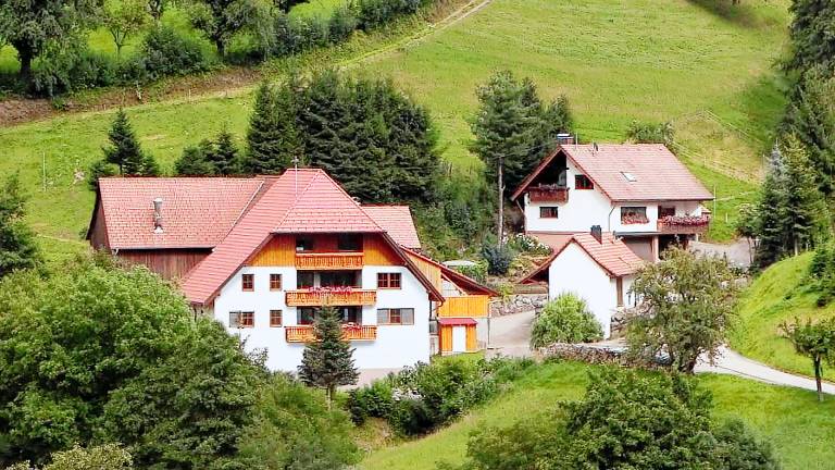 Ferienwohnung  Sexau