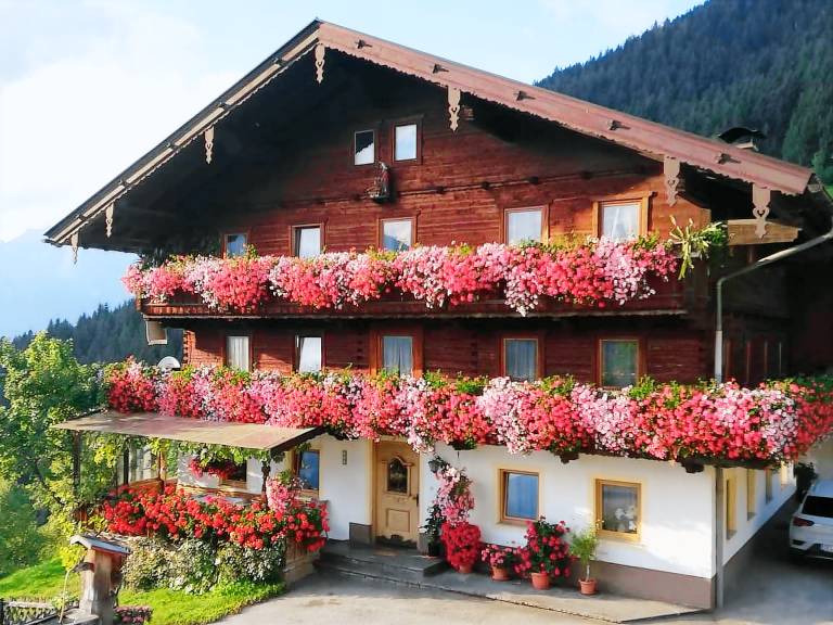 Gemütliche Ferienwohnung mit herrlicher Aussicht
