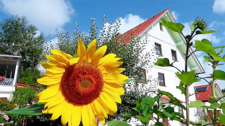 Ferienwohnung  Wangen im Allgäu