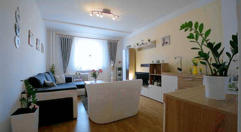 Rental apartment | Dogs allowed — photo 2