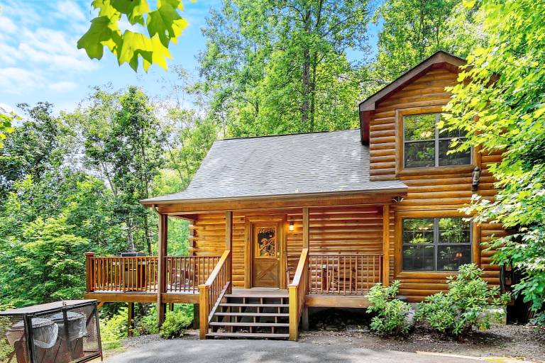 Cabin with private pool — photo 2