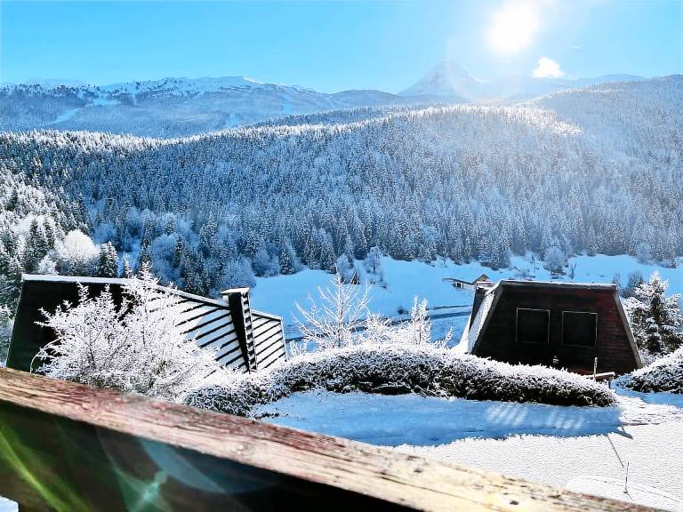 Chalet Corrençon-en-Vercors