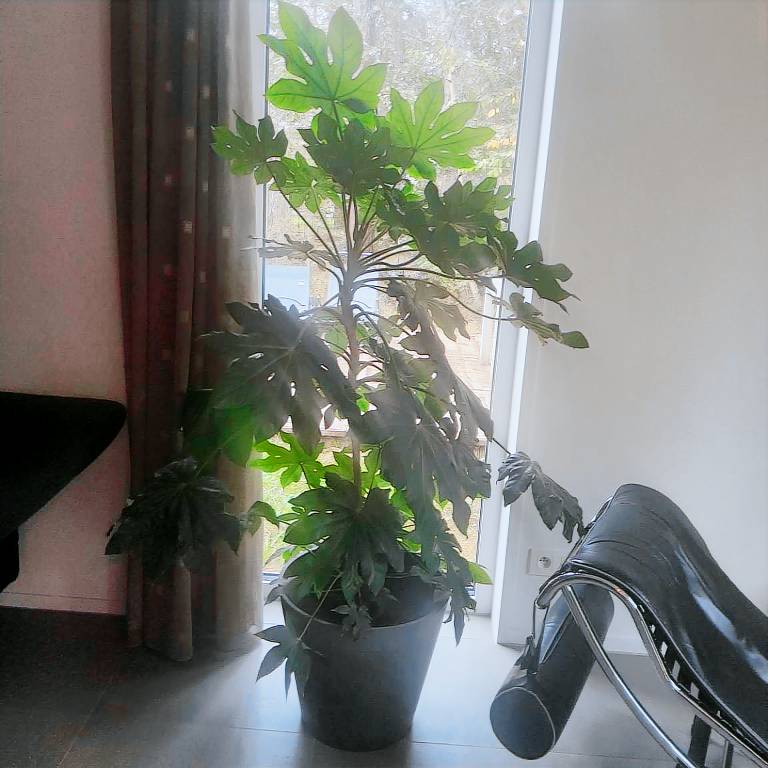 foto2