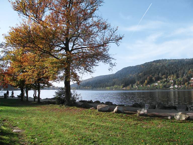 Ferienhaus Gérardmer