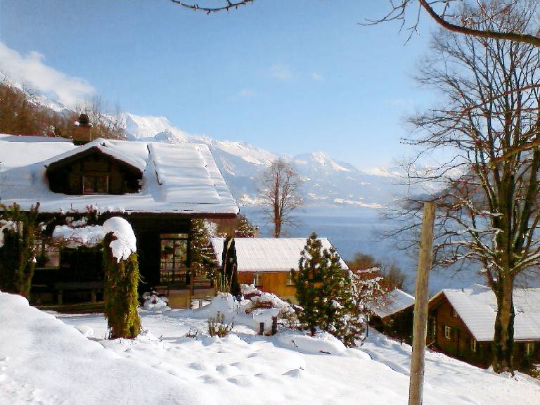 foto4