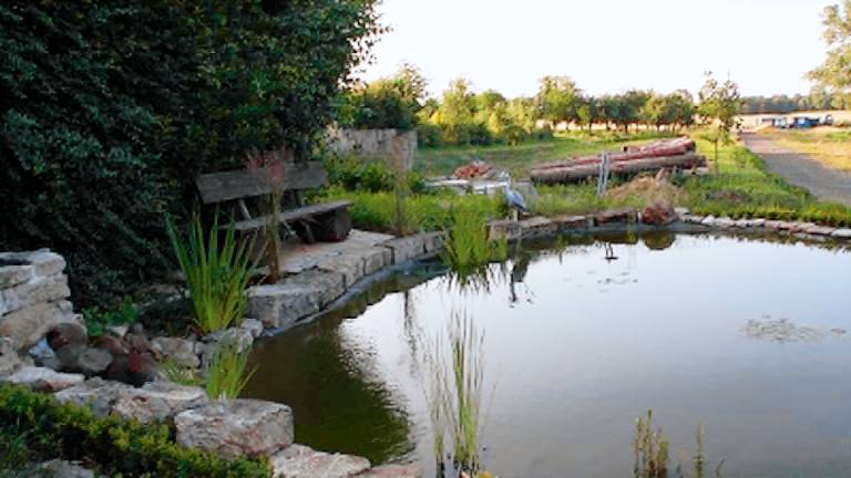 Ferienwohnung Marlishausen