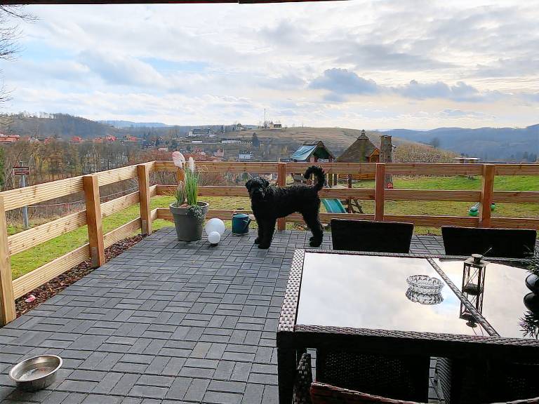 House with garden, sauna & BBQ — photo 3