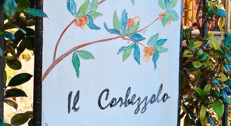 Il corbezzolo in Linguaglossa
