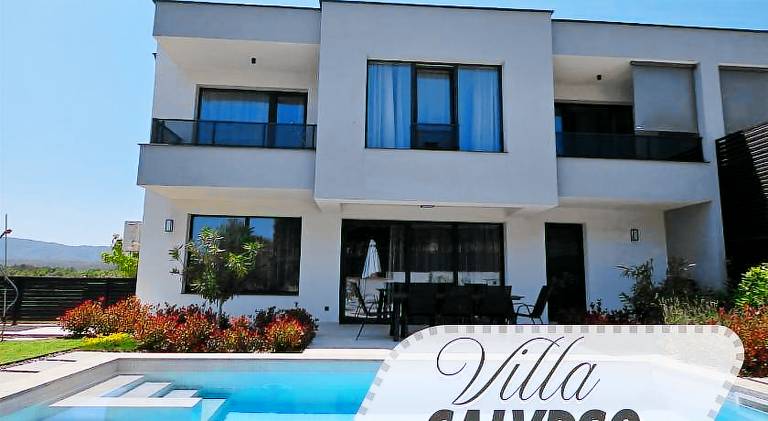 Villa with pool — photo 3