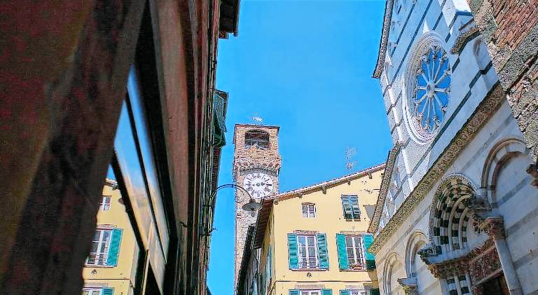Holiday apartment | Near Lucca Cathedral | Pets are welcome — photo 5