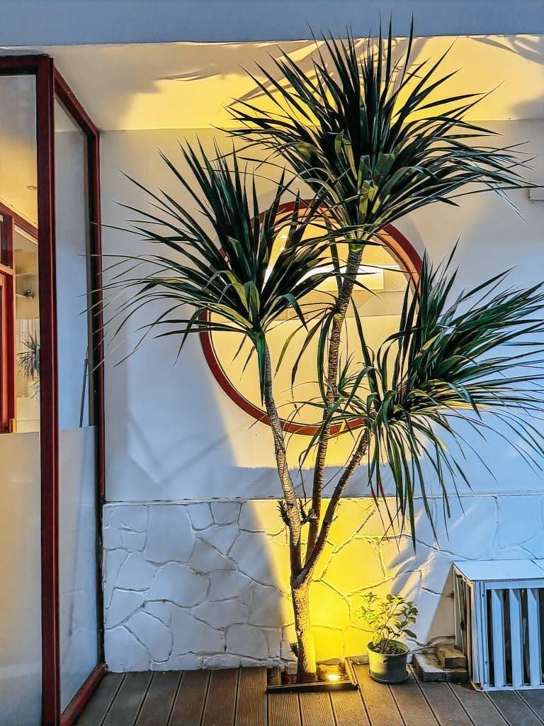 Lovely villa with jacuzzi | Pets allowed — photo 2