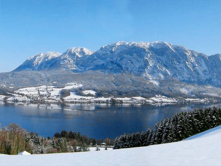 Ferienwohnung Attersee