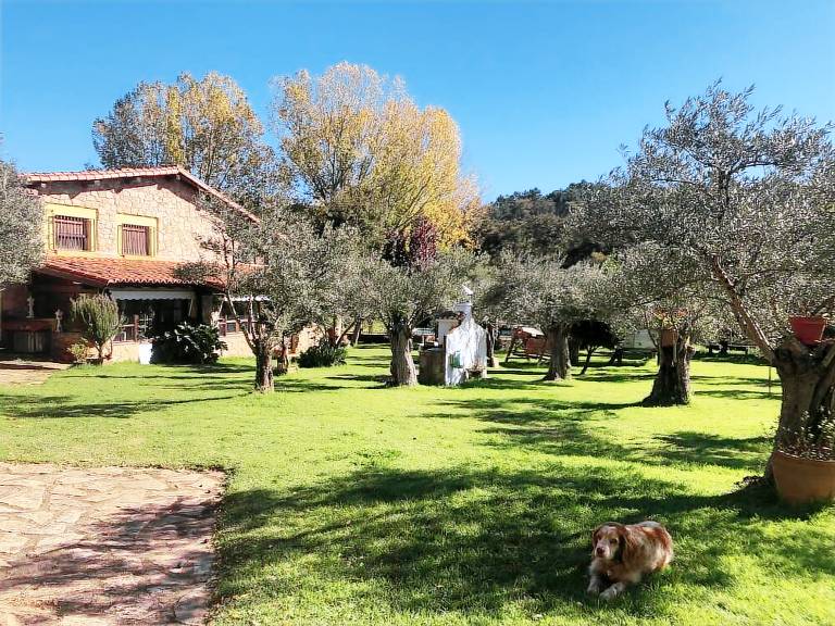 Casa  Acebo