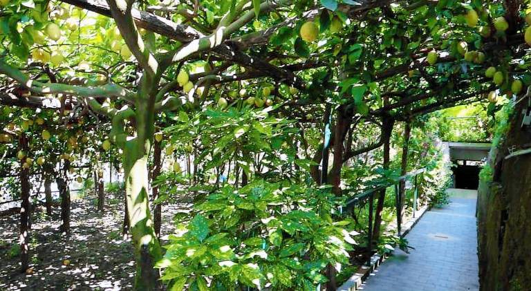 House | Pet-friendly in Maiori