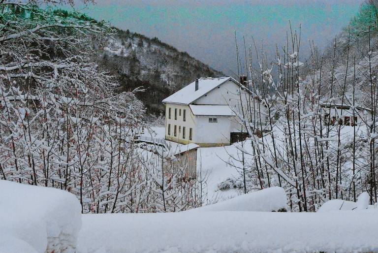 Cottage Basse-sur-le-Rupt