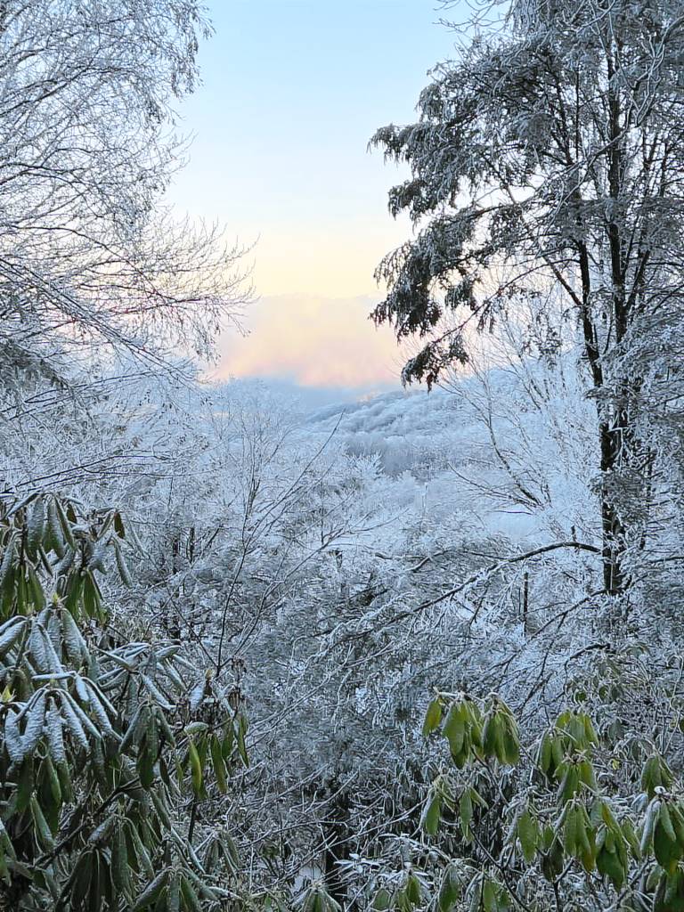 House Beech Mountain