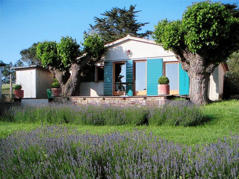 Vacation home with pool & terrace | Pet-friendly — photo 2