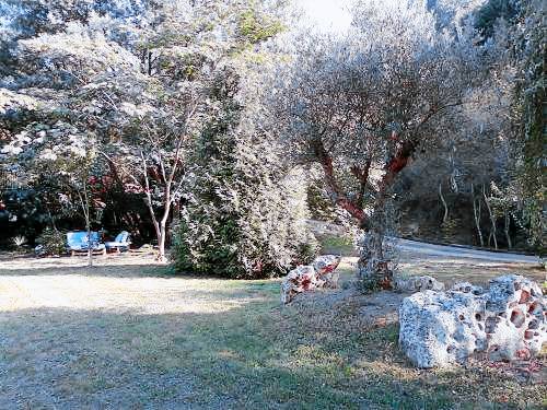 foto4