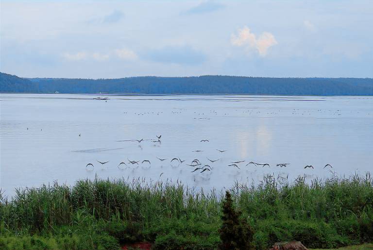 Appartement  Plau am See