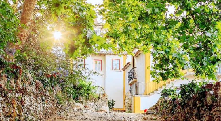 Rental apartment with yard in Sintra