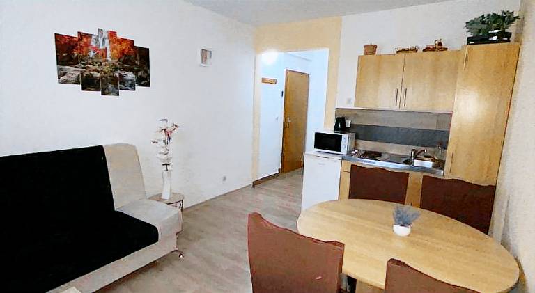 Rental apartment with 1 room for 3 persons — photo 2