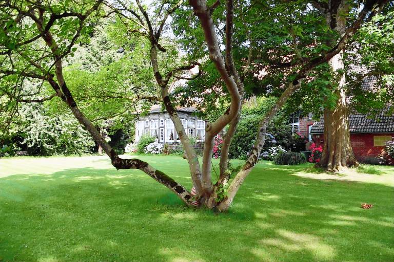 Holiday apartment with garden, grill & patio | Garden view — photo 4