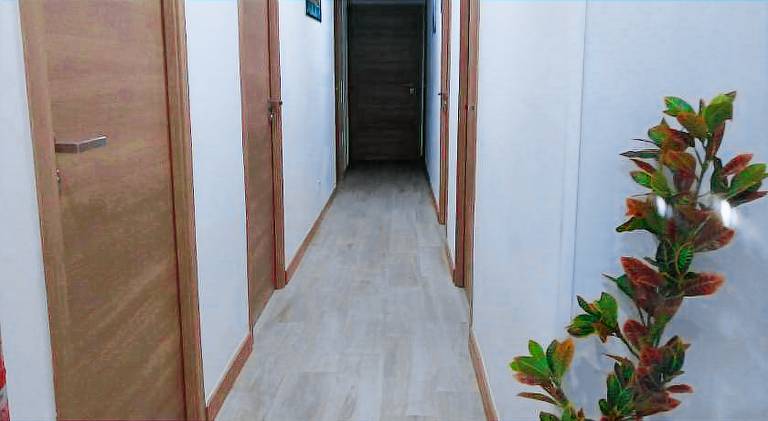 Hostal el Olivo — photo 4