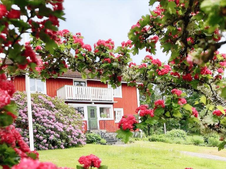 Ferienhaus Häradsbäck