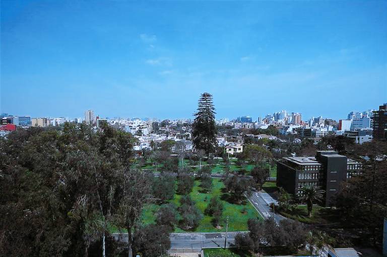Suites del Bosque Hotel
