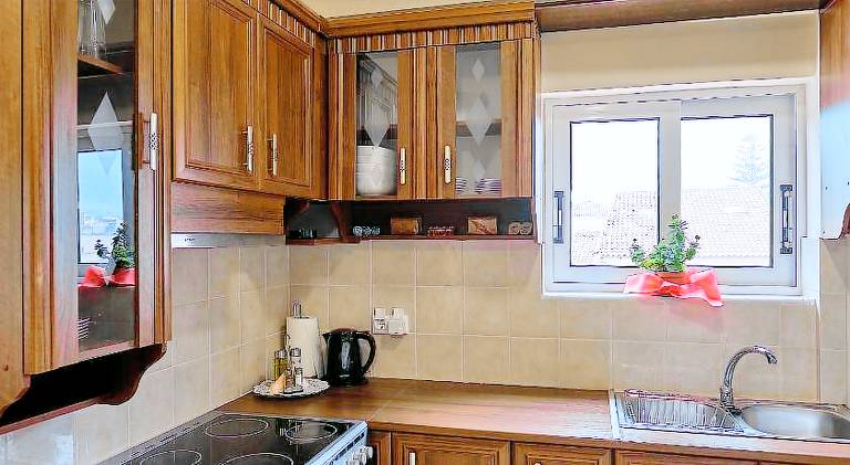 Apartment with terrace — photo 4
