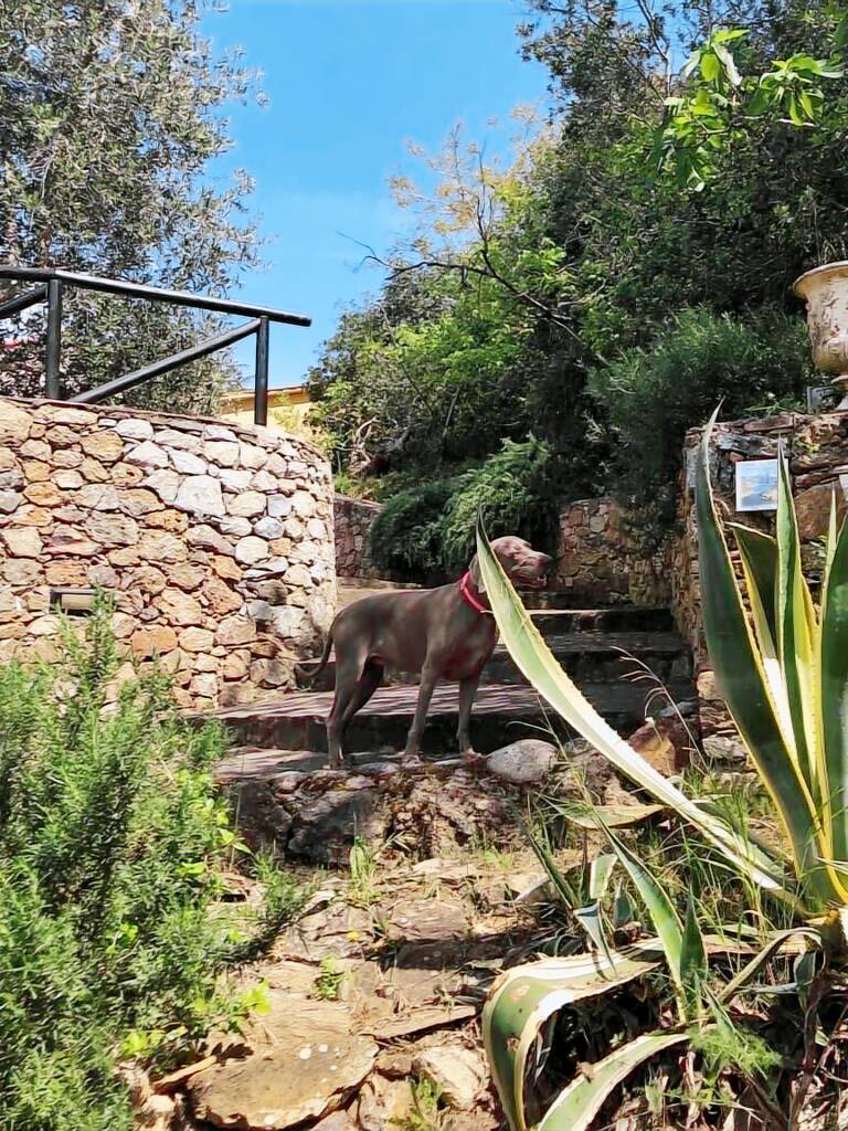 Villa Ortano