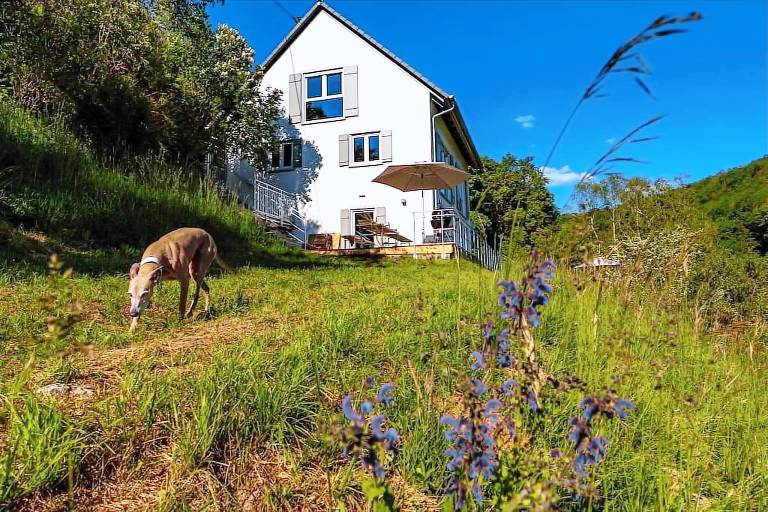 Ferienhaus  Künzelsau