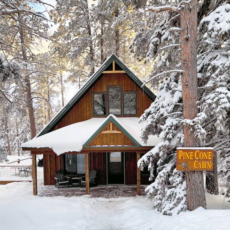 Cabin  Lead
