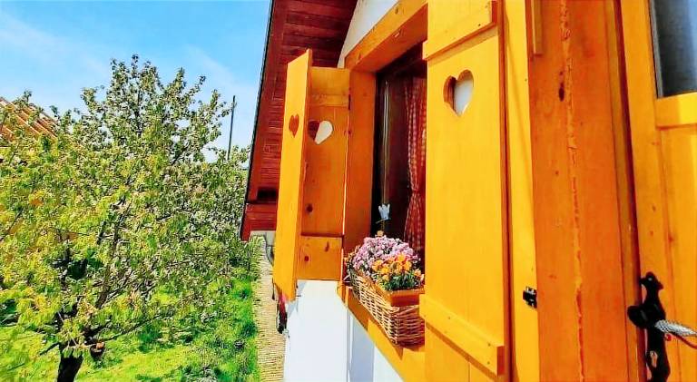 Noćenje s doručkom Beli Manastir