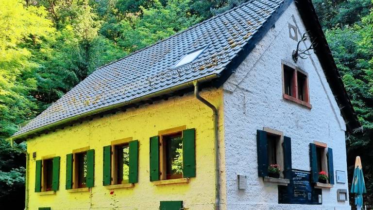 Ferienwohnung Deidesheim