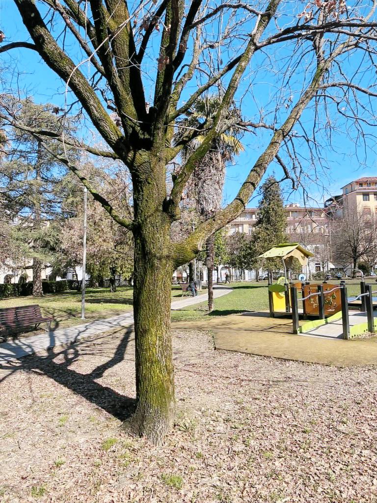 foto2