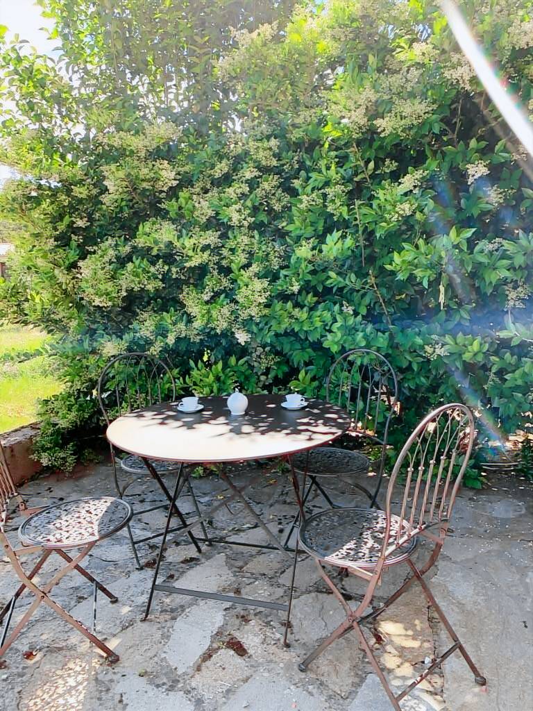 Appartement Calvi