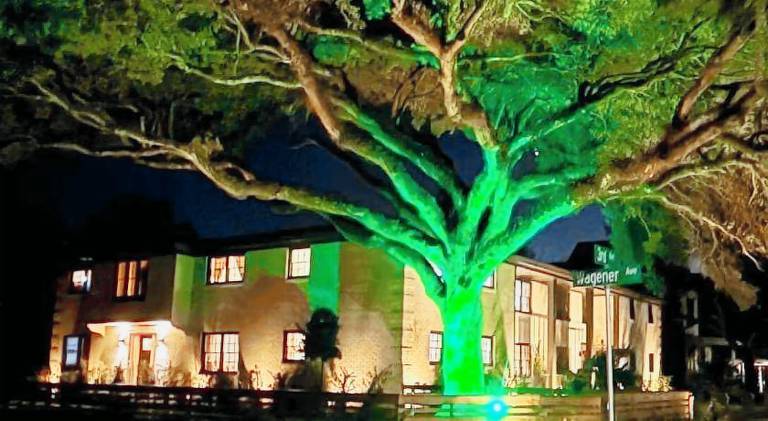 Big apartment | Pets allowed in Charleston, SC