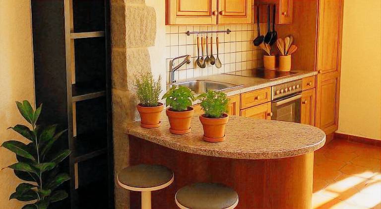 Rental apartment with terrace — photo 4