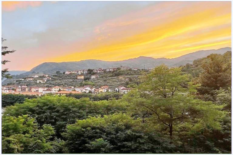 foto1